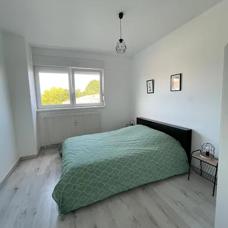 Chez Megane & Anthony A Strasbourg アパート エンツハイム