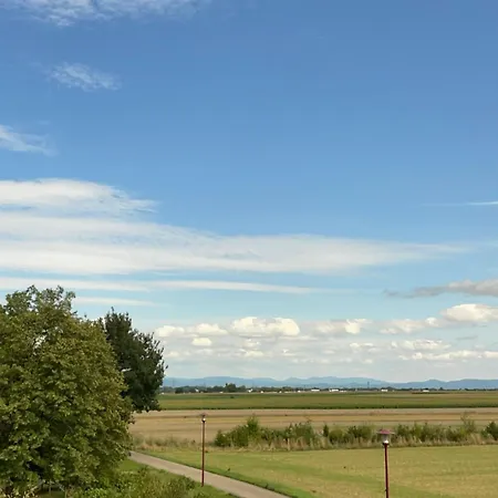 アパート Chez Megane & Anthony A Strasbourg